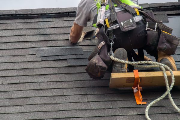 Shingle Roof Installation
